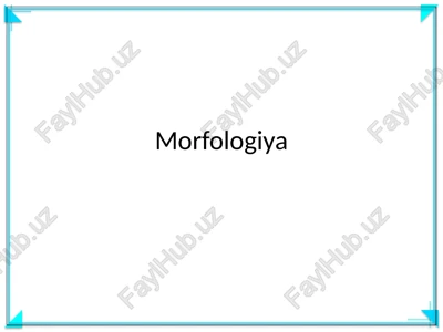 morfologiya — PPTX