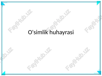 o'simlik huhayrasi — PPTX