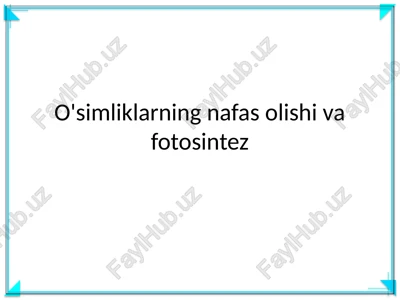 o'simliklarning nafas olishi va fotosintez — PPTX