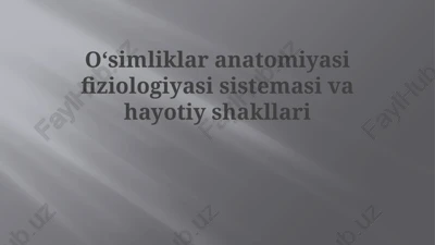 o'simliklar anatomiyasi va fiziologiyasi — PPTX