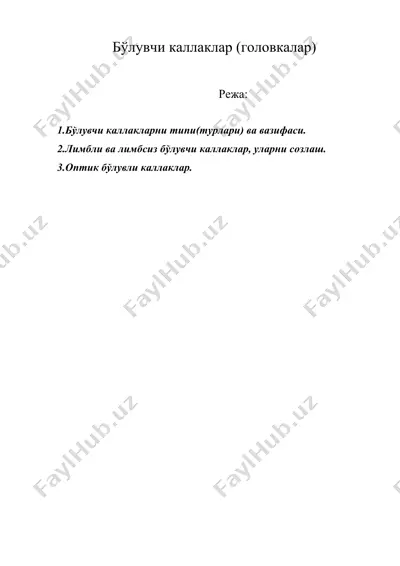 бўлувчи каллаклар (головкалар) — DOC