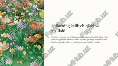 gullarning kelib chiqishi va tuzilishi — PPTX