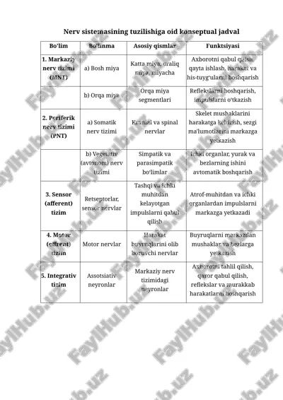 nerv sistemasining tuzilishiga oid konseptual jadval.docx — DOCX