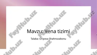 vena tizimi.pptx — PPTX