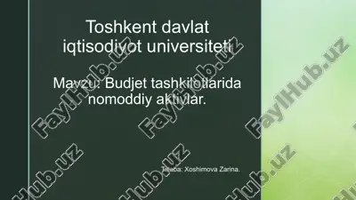 budjet tashkilotlarida nomoddiy aktivlar.pptx — PPTX