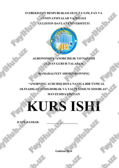 mamadaliyev shohjahon_kurs ishi (2).docx — DOCX