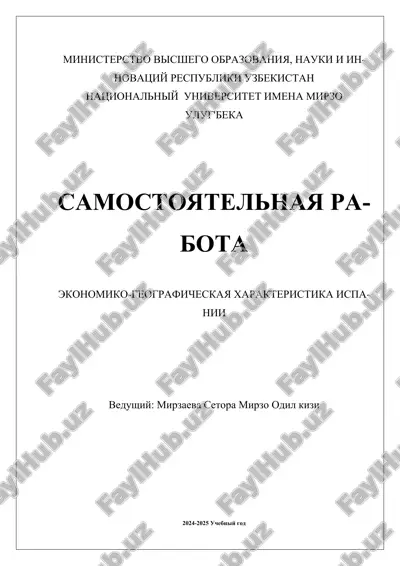 ekonomiko_geograficheskaya_xarakteristika_ispanii.docx — DOCX