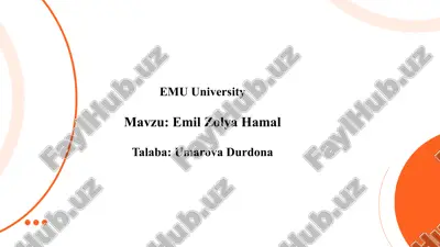 emil zolya yozgan roman hamal.pptx — PPTX