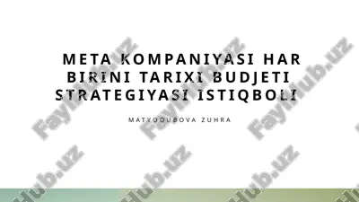 meta_kompaniyasi_har_birini_tarixi_budjeti_strategiyasi_istiqbol.pptx — PPTX