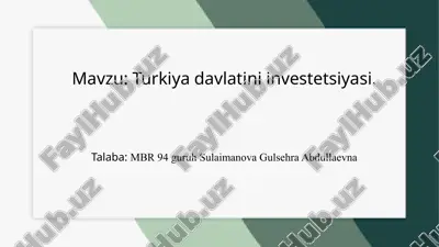 turkiya davlatini investetsiyasid.pptx — PPTX