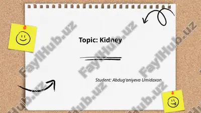 kidney.pptx — PPTX