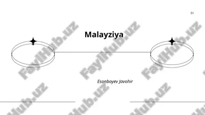 malayziya.pptx — PPTX