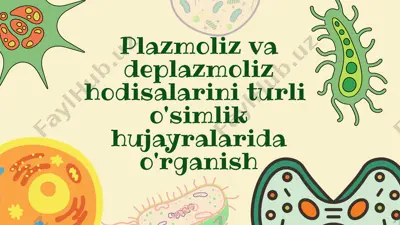 plazmoliz va deplazmoliz hodisasi. — PPTX