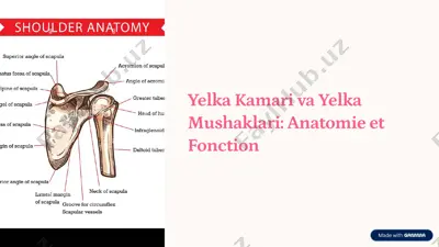 yelka kamari — PDF