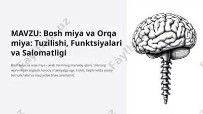bosh miya va orqa miya: tuzilishi, funktsiyalari va salomatligi — PPTX