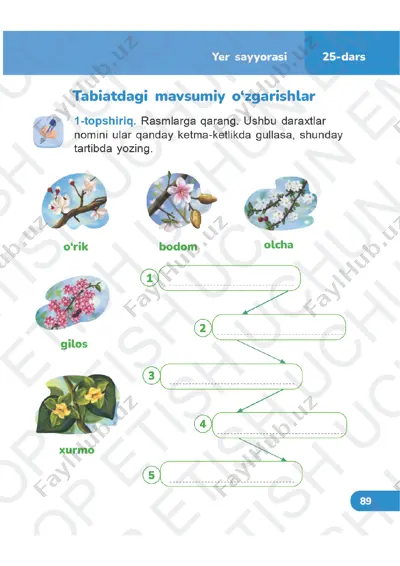 tabiiy fanlar 3-sinf daftar 25-32 — PDF