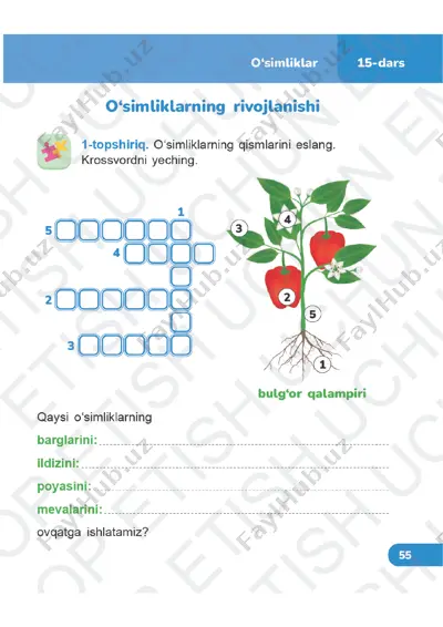 tabiiy fanlar daftar 3-sinf 15-24-darslar — PDF