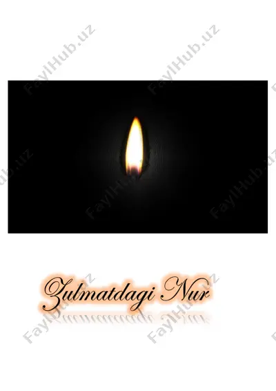 zulmatdagi nur [@kitob_pdf_yuklabot] — PDF