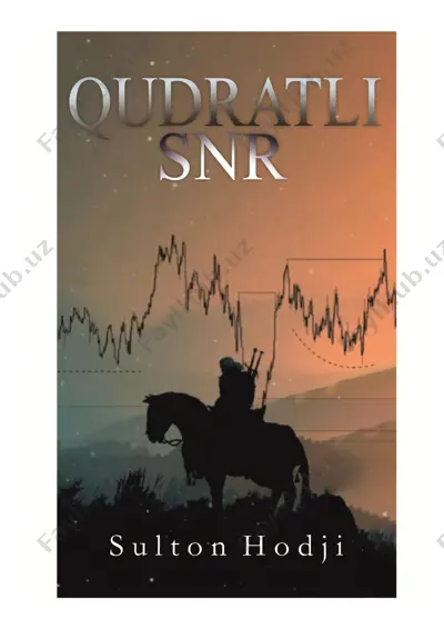 snr strategy(dfx) — PDF