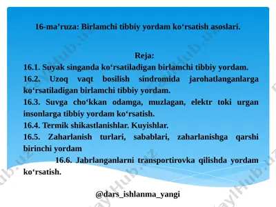birlamchi tibbiy yordam ko‘rsatish asoslari+ — PPTX