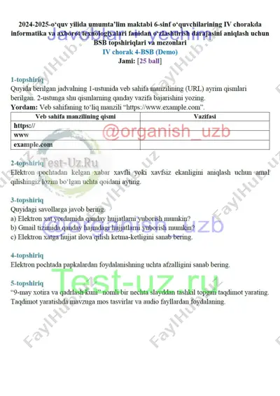 6 sinf informatika bsb-4 demo — DOCX