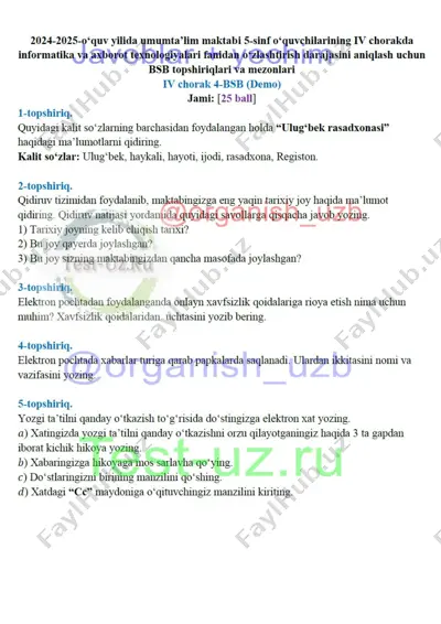 5 sinf informatika bsb-4 demo — DOCX