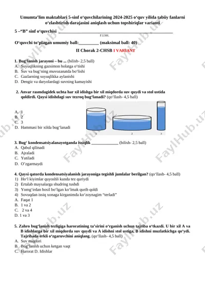 5 sinf chsb-2 2v — DOCX