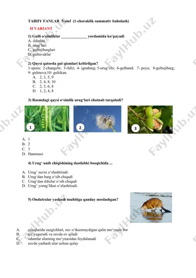 5_sinf_tabiiy_fanlar_1_chsb_2_variant@summativ_formativ_baholash — PDF