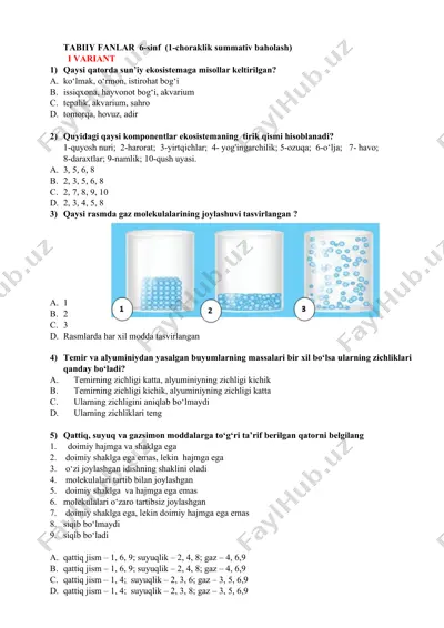 6_sinf_tabiiy_fanlar_1_chsb_1_variant@summativ_formativ_baholash — PDF