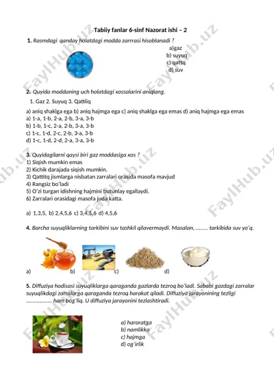 tabiiy fanlar 6-sinf nazorat ishi - 2 — DOCX