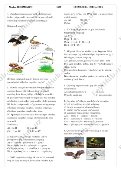coursera (nurlan ikromovich). — PDF