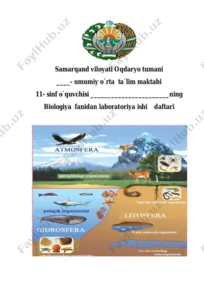 11_sinf_laborayiriya_ishlari — PDF