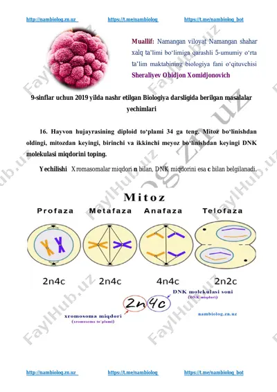 9-sinf masala 3-qism — PDF