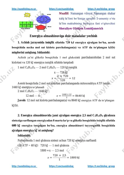 energiya_almashinuviga_doir_masalalar — PDF