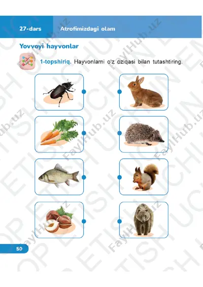 tabiiy fanlar 2-sinf daftar 27-32-darslar — PDF