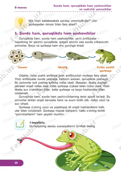 tabiiy fanlar 3 sinf — PDF