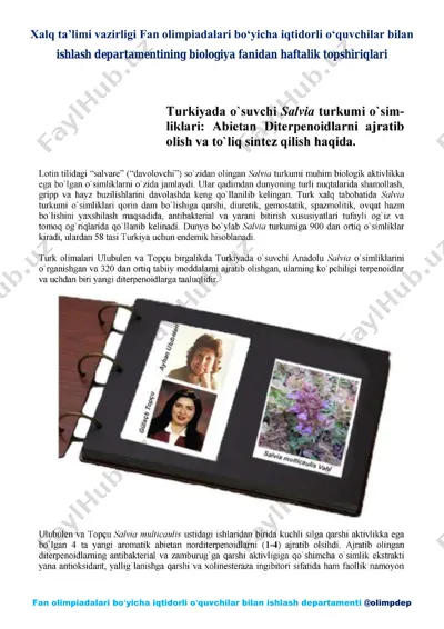 icho darajasidagi masalalar ν1 — PDF