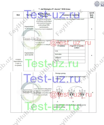 7 sinf bsb-7 demo — DOCX