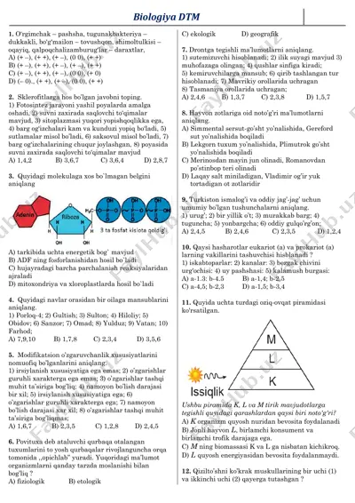 biologiya dtm 128 — PDF