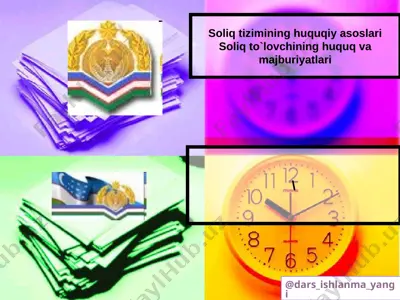 8_sinf_iqtisodiy_bilim_asoslari_17_soliq_to’lovchilarning_huquqlari — PPTX