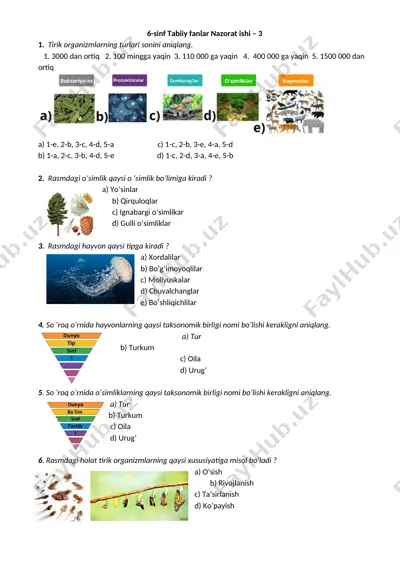 6-sinf tabiiy fanlar nazorat ishi-3 — DOCX