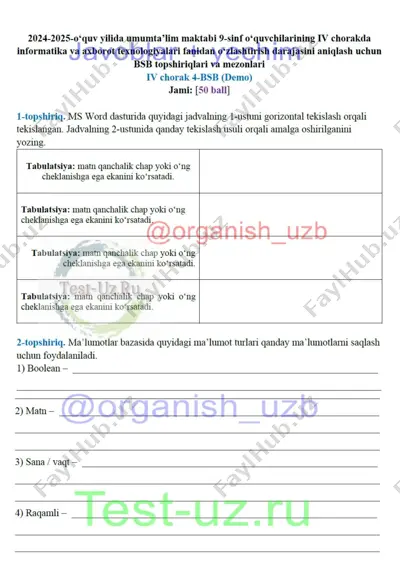 9 sinf informatika bsb-4 demo — DOCX