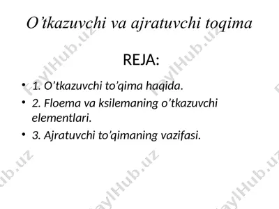 o’tkazuvchi va ajratuvchi toqima — PPTX