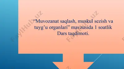 muvozanat saqlash, muskul sezish va tuyg’u organlari (dars ishlanma) — PPTX