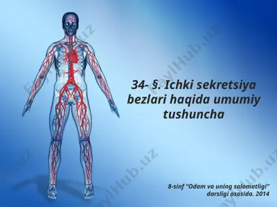 ichki sekretsiya bezlari haqida umumiy tushuncha. 8 - sinf — PPTX