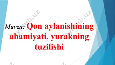 qon aylanishining ahamiyati, yurakning tuzilishi — PPTX