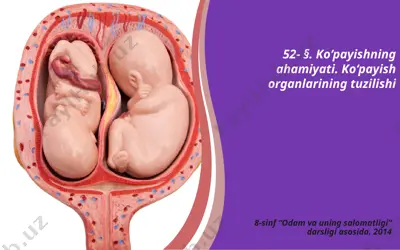 ko‘payishning ahamiyati. ko‘payish organlarining tuzilishi. 8 - sinf — PPTX