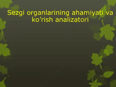 sezgi organlarining ahamiyati va ko’rish analizatori — PPTX