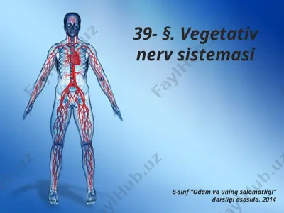vegetativ nerv sistemasi. 8 - sinf — PPTX