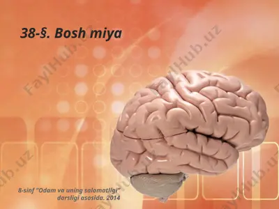 bosh miya. 8 - sinf — PPTX